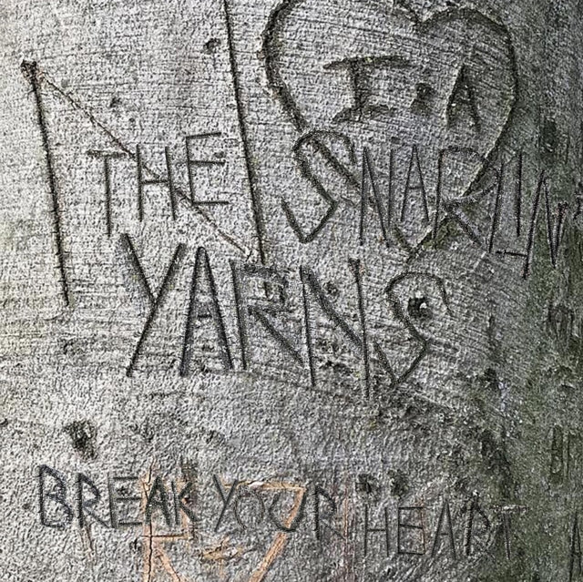 SNARLIN' YARNS | BREAK YOUR HEART | VINYL RECORD (LP)