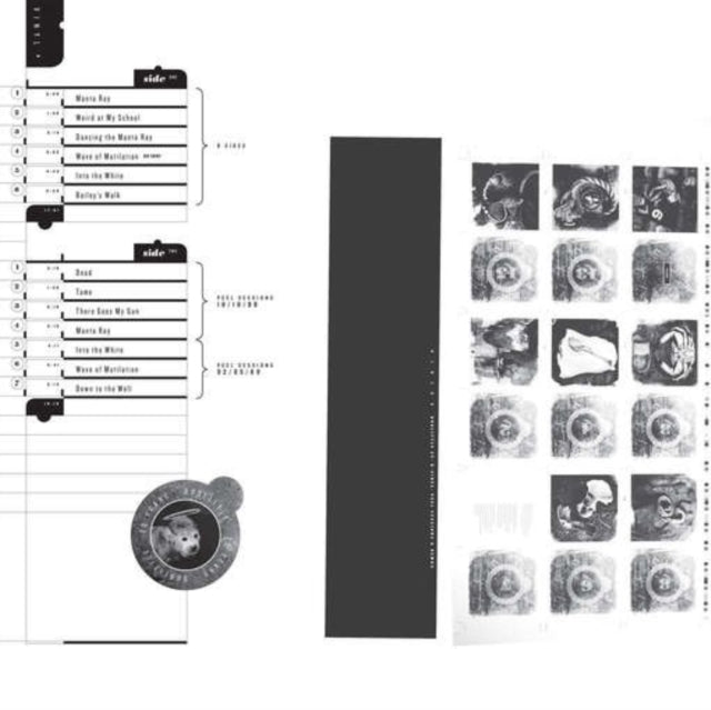 PIXIES | DOOLITTLE 25: B-SIDES, PEEL SESSIONS AND DEMOS | VINYL RECORD (LP)