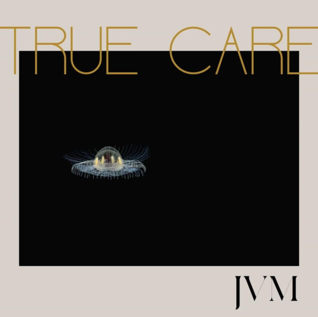 MCMORROW, JAMES VINCENT | TRUE CARE (2LP) | VINYL RECORD (LP)
