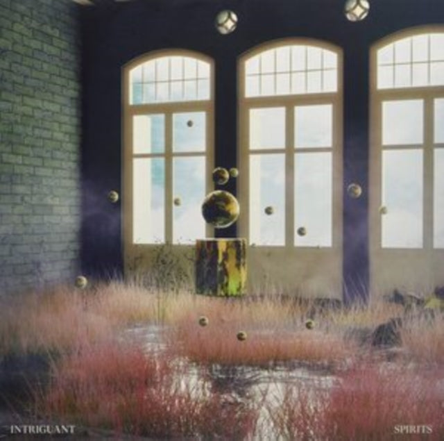 UNKNOWN | SPIRITS | VINYL RECORD (LP)