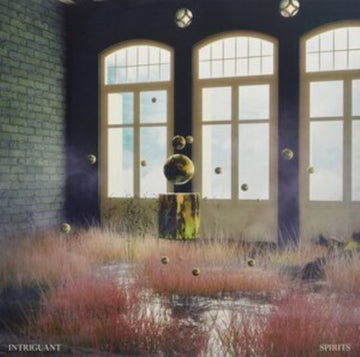 UNKNOWN | SPIRITS | VINYL RECORD (LP)