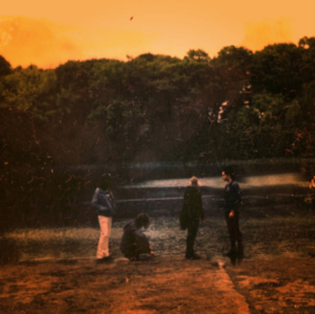 FAR OUT FANGTOOTH | PURE & DISINTERESTED | VINYL RECORD (LP)