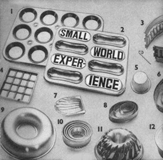 SMALL WORLD EXPERIENCE | SHELF-LIFE | VINYL RECORD (LP)
