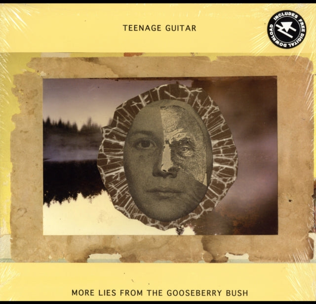 TEENAGE GUITAR | MORE LIES FROM THE GOOSEBERRY BUSH | VINYL RECORD (LP)