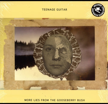 TEENAGE GUITAR | MORE LIES FROM THE GOOSEBERRY BUSH | VINYL RECORD (LP)