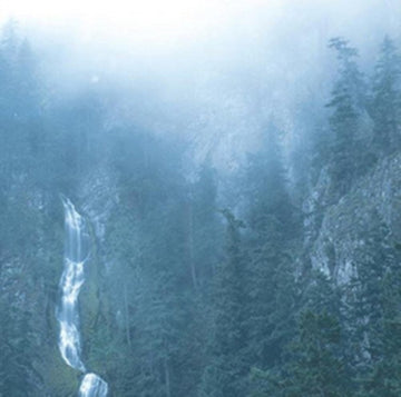 WOLVES IN THE THRONE ROOM | DIADEM OF 12 STARS | VINYL RECORD (LP)