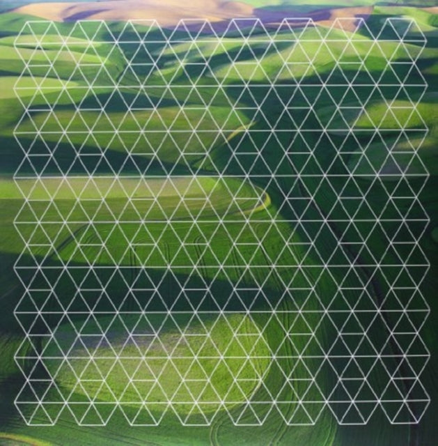 PLOTNICK,  HENRY | FIELDS | VINYL RECORD (LP)