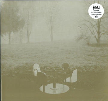 JESU | ASCENSION (2 X 12 INCH) | 12IN VINYL