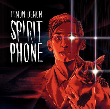 LEMON DEMON | SPIRIT PHONE (2LP) | VINYL RECORD (LP)