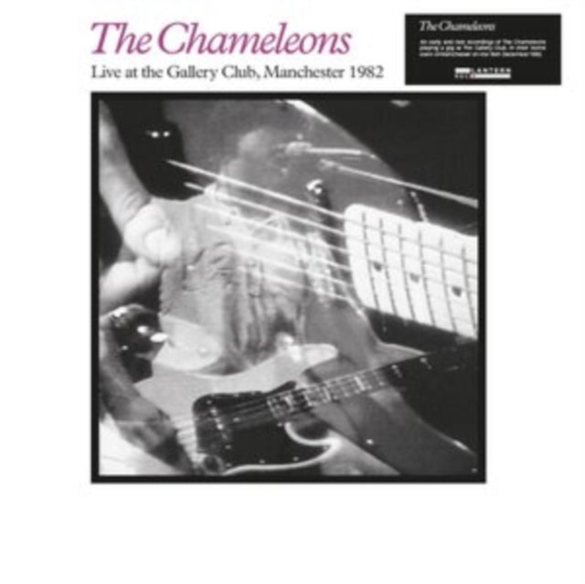 CHAMELEONS | LIVE AT THE GALLERY CLUB | VINYL RECORD (LP)