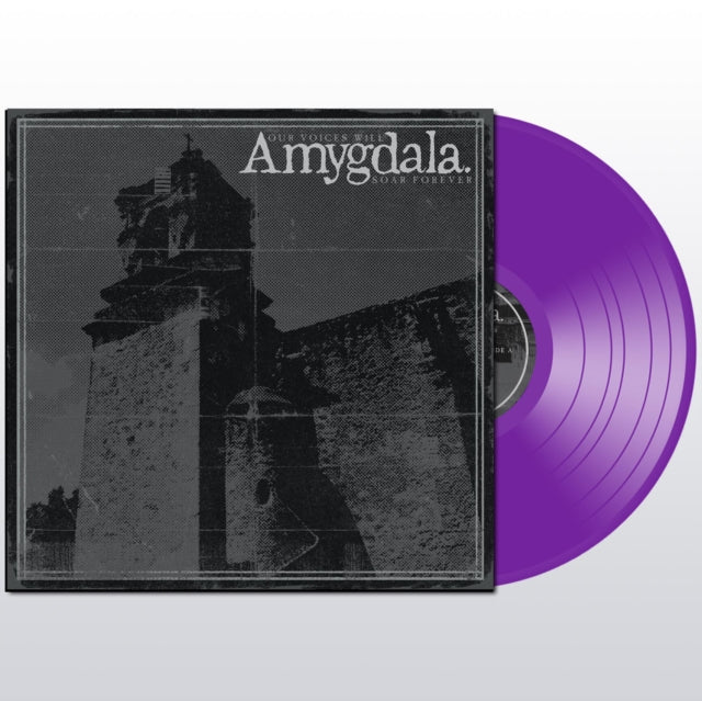 AMYGDALA | OUR VOICES WILL SOAR | VINYL RECORD (LP)