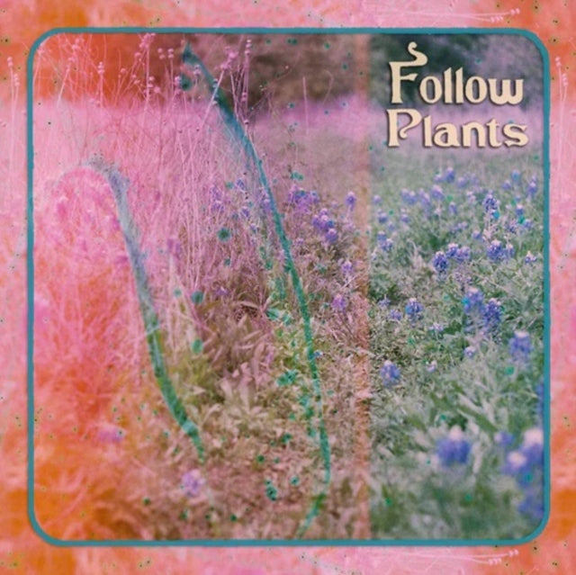 LIMALO | FOLLOW PLANTS | MUSIC CASSETTE