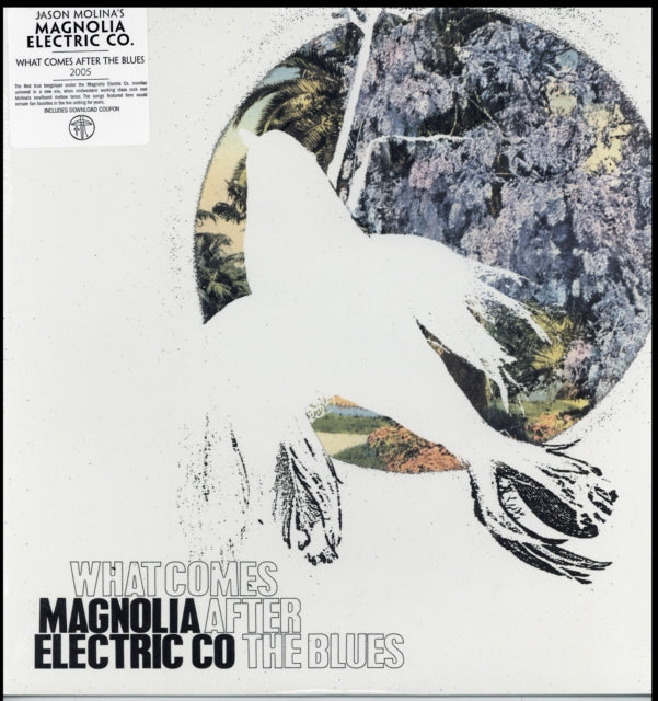 MAGNOLIA ELECTRIC CO | WHAT COMES AFTER THE BLUES | VINYL RECORD (LP)