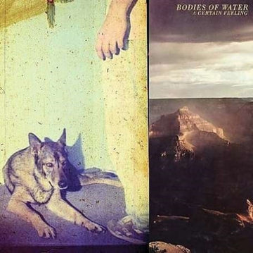 BODIES OF WATER | CERTAIN FEELING | VINYL RECORD (LP)