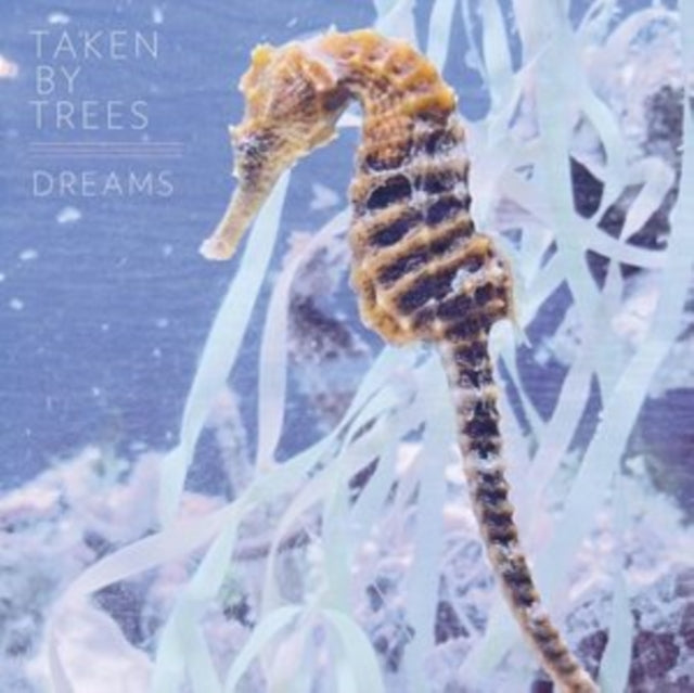 TAKEN BY TREES | DREAMS | 12IN VINYL