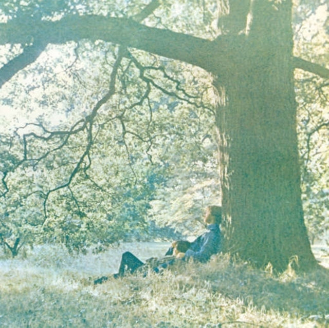ONO, YOKO | PLASTIC ONO BAND | VINYL RECORD (LP)