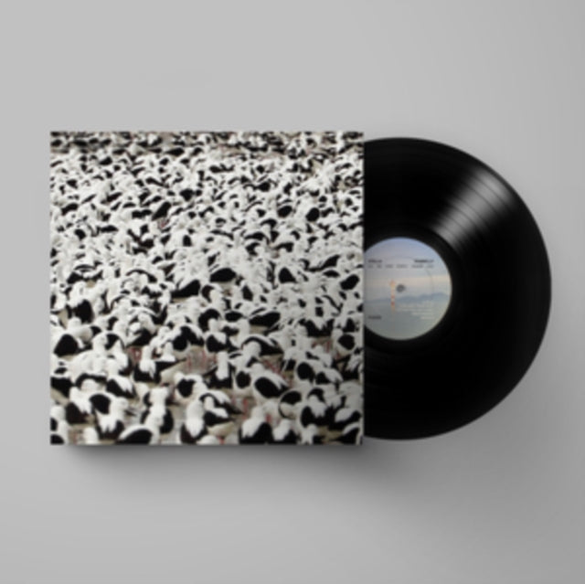 DONNELLY, STELLA | FLOOD | VINYL RECORD (LP)