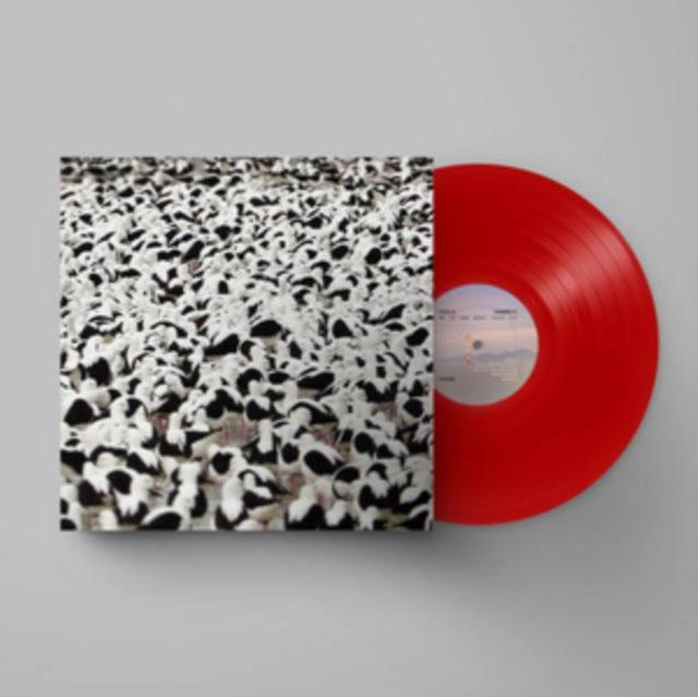 DONNELLY, STELLA | FLOOD (OPAQUE RED VINYL) | VINYL RECORD (LP)