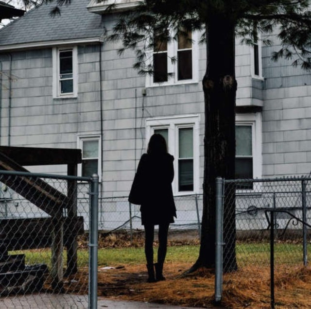 TALLEST MAN ON EARTH | DARK BIRD IS HOME | VINYL RECORD (LP)