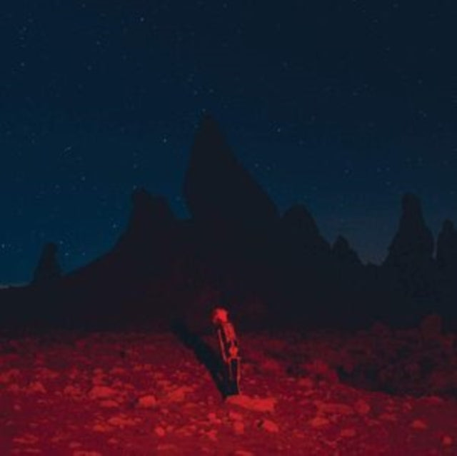 BRIDGERS, PHOEBE | PUNISHER | VINYL RECORD (LP)