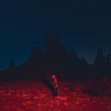 BRIDGERS, PHOEBE | PUNISHER | VINYL RECORD (LP)