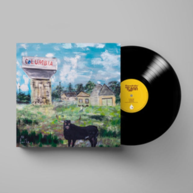 TORO Y MOI | SANDHILLS | 12IN VINYL