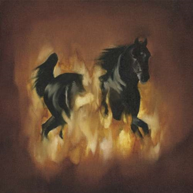 BESNARD LAKES | BESNARD LAKES ARE THE DARK HORSE | VINYL RECORD (LP)