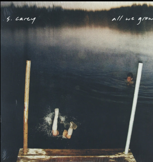 CAREY, S | ALL WE GROW | VINYL RECORD (LP)