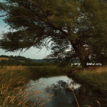 CAREY, S. | HUNDRED ACRES (TRANSLUCENT GREEN VINYL) | VINYL RECORD (LP)
