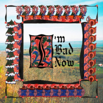 NAP EYES | I'M BAD NOW | VINYL RECORD (LP)