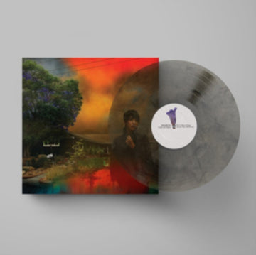 VAN ETTEN, SHARON | WE'VE BEEN GOING ABOUT THIS ALL WRONG (MARBLED SMOKE VINYL) | VINYL RECORD (LP)