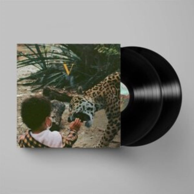 UNKNOWN MORTAL ORCHESTRA | V (2LP) | VINYL RECORD (LP)