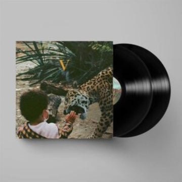 UNKNOWN MORTAL ORCHESTRA | V (2LP) | VINYL RECORD (LP)