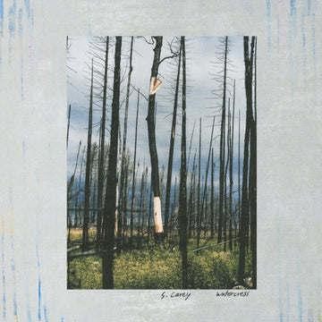 WATERCRESS (EP) | 12IN VINYL