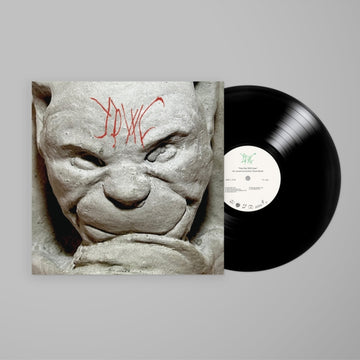 YOUR DAY WILL COME | VINYL RECORD (LP)