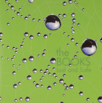 BOOKS | LOST & SAFE | VINYL RECORD (LP)
