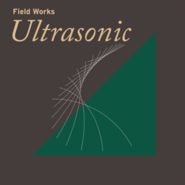 VARIOUS ARTISTS | FIELD WORKS: ULTRASONIC (2LP) | VINYL RECORD (LP)