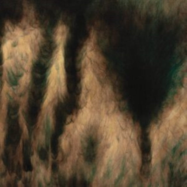 BASINSKI, WILLIAM | LAMENTATIONS (2LP) | VINYL RECORD (LP)