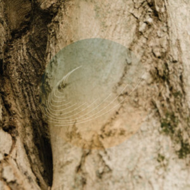 FIELD WORKS | MAPLES ASH & OAKS: CEDARS INSTRUMENTALS (IRIDESCENT MOTHER OF PEARL W/ GREEN UNDERTONE) | VINYL RECORD (LP)