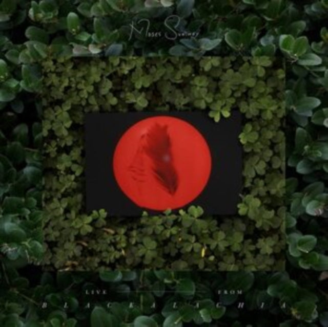 SUMNEY, MOSES | LIVE - FROM BLACKALACHIA (2LP) | VINYL RECORD (LP)