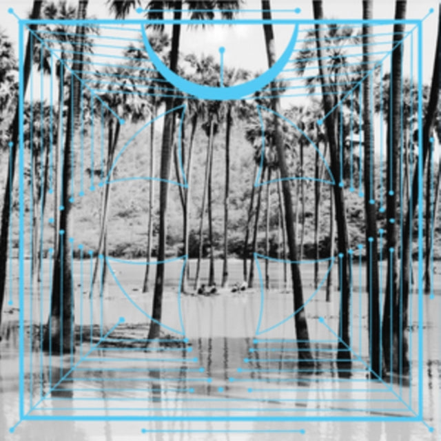 FOUR TET | PINK | VINYL RECORD (LP)
