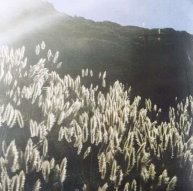BLITHE SONS | GREAT ORTHOCHROMATIC.. | VINYL RECORD (LP)
