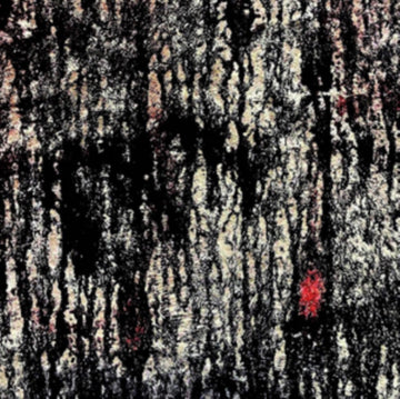 BOTH WILL ESCAPE | VINYL RECORD (LP)