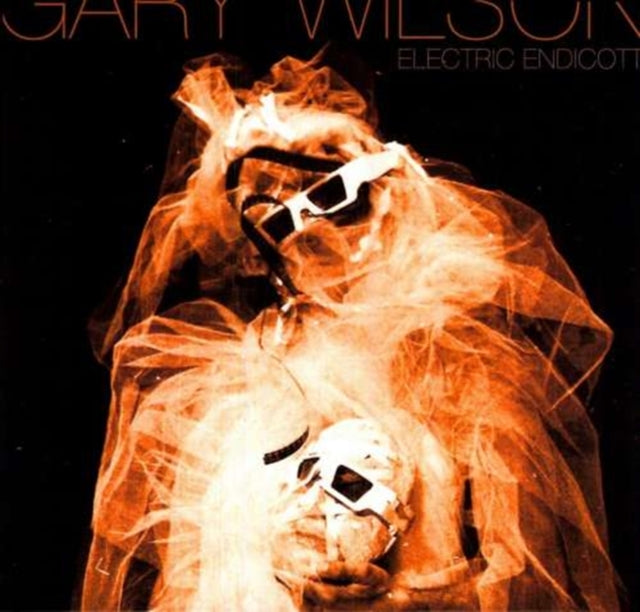 WILSON, GARY | ELECTRIC ENDICOTT | VINYL RECORD (LP)