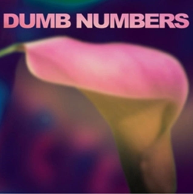DUMB NUMBERS | DUMB NUMBERS | VINYL RECORD (LP)