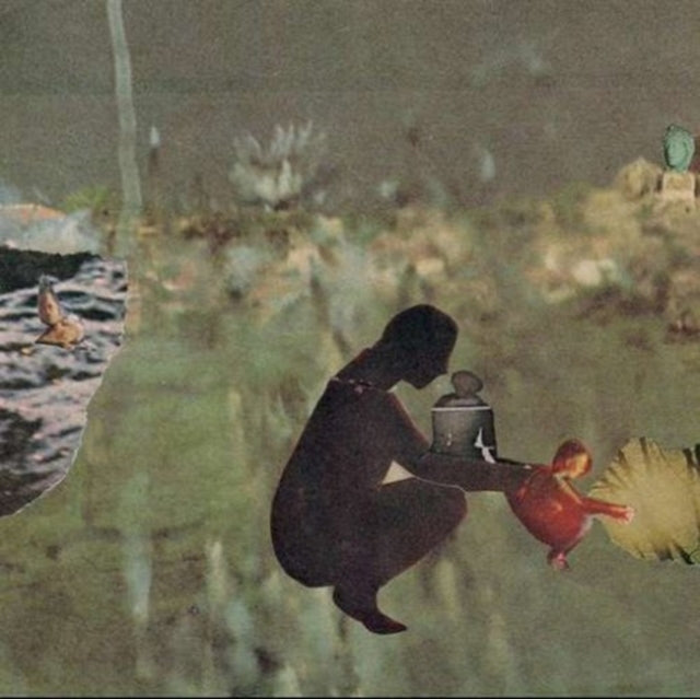 PSYCHO AND THE BIRDS | WEâ€™VE MOVED | VINYL RECORD (LP)