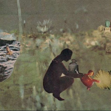 PSYCHO AND THE BIRDS | WEâ€™VE MOVED | VINYL RECORD (LP)