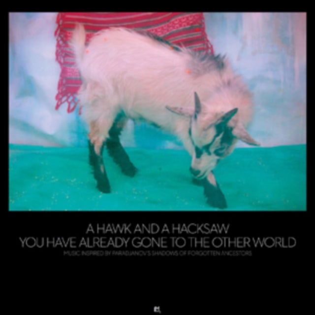 A HAWK AND A HACKSAW | YOU HAVE ALREADY GONE TO THE OTHER WORLD | VINYL RECORD (LP)