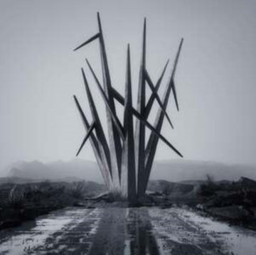 TEETH TO SKY | VINYL RECORD (LP)