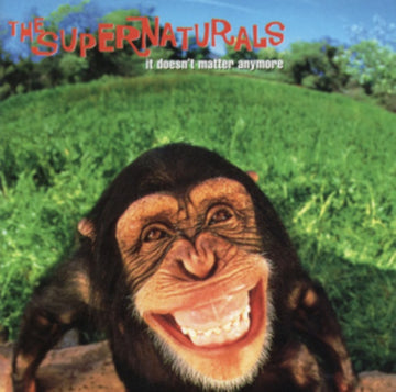 SUPERNATURALS | IT DOESN'T MATTER ANYMORE | VINYL RECORD (LP)